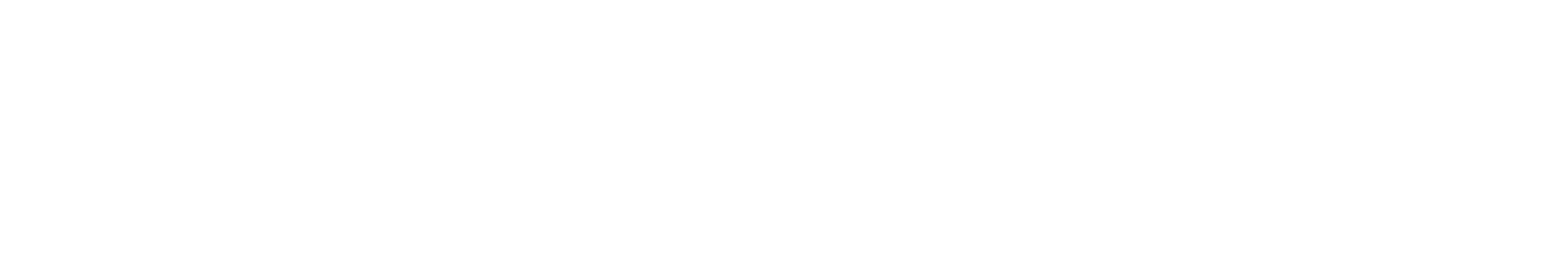 Reflex Prism